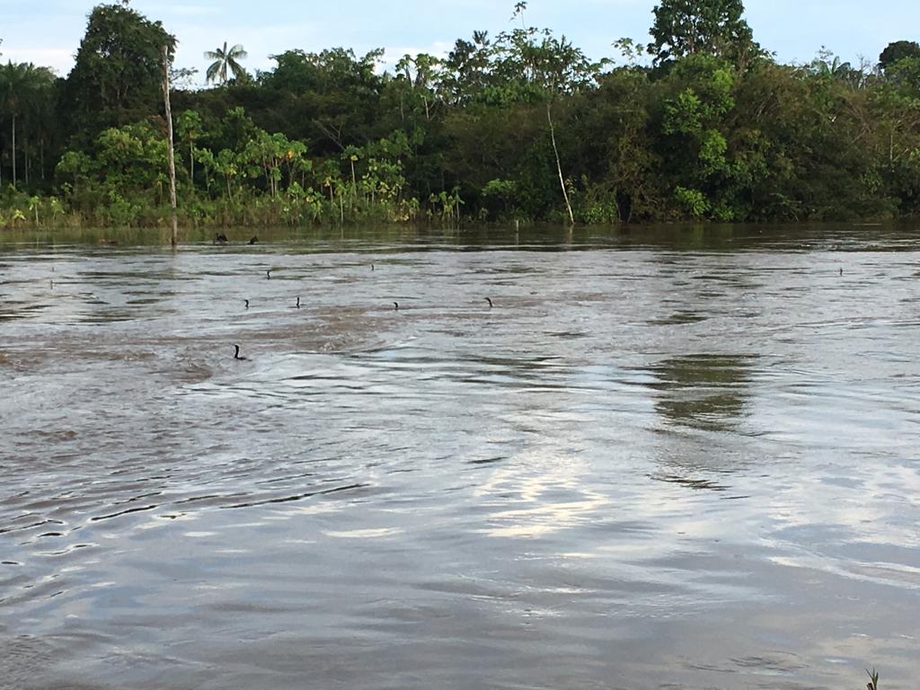 Ponte é levada pela correnteza na BR 230 Portal Barrancas